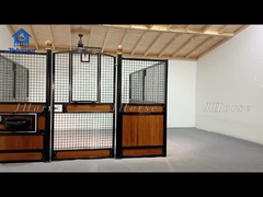 Водостойкая лошадь, стабильная, окончательная защита для верховой езды