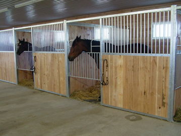 Коробка роскошной лошади стабилизированная/портативная лошадь глохнут с бамбуковой древесиной