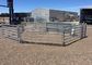 Feedlot Stock Cattle Yard Panels With Durable Metal Movable Round Gate